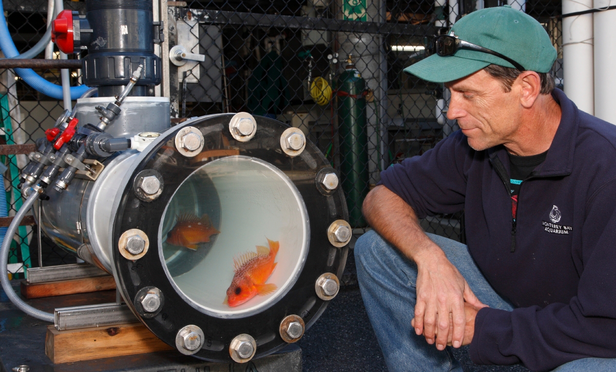 Monterey Bay Aquarium decompression chamber